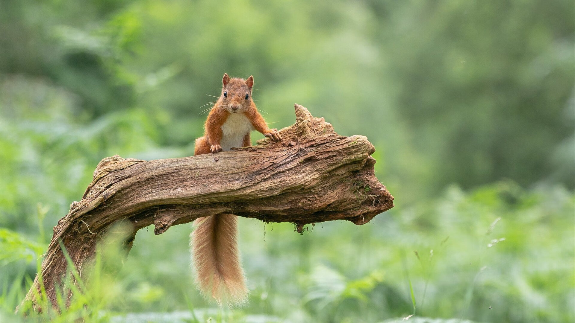 2024年全国围棋团体锦标赛在广州圆满落幕,20年围棋比赛