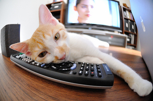 _精彩瞬间:逆转、破纪录、经典回顾_,十大经典逆转赛事