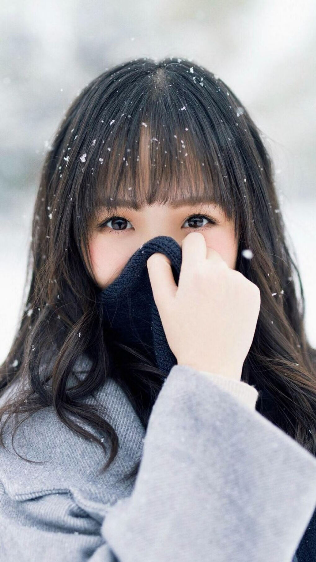 国际队新星加布里埃尔·卡瓦略转会至沙特球队阿尔卡迪西亚,加布里艾尔安瓦尔