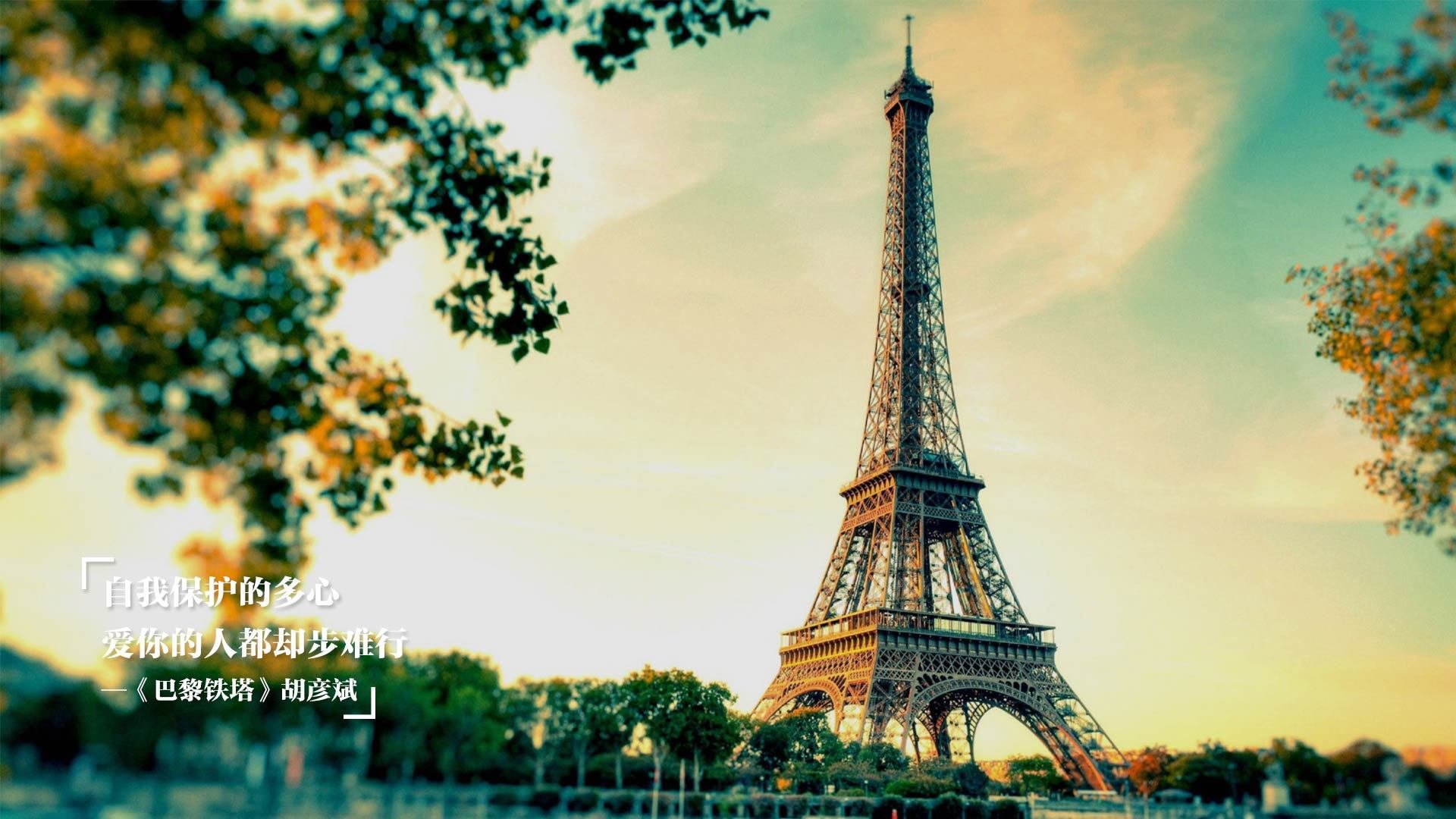 战术执行_ 快攻战术高效实施，获得最终胜利！，快攻战术的形式有哪几种组成