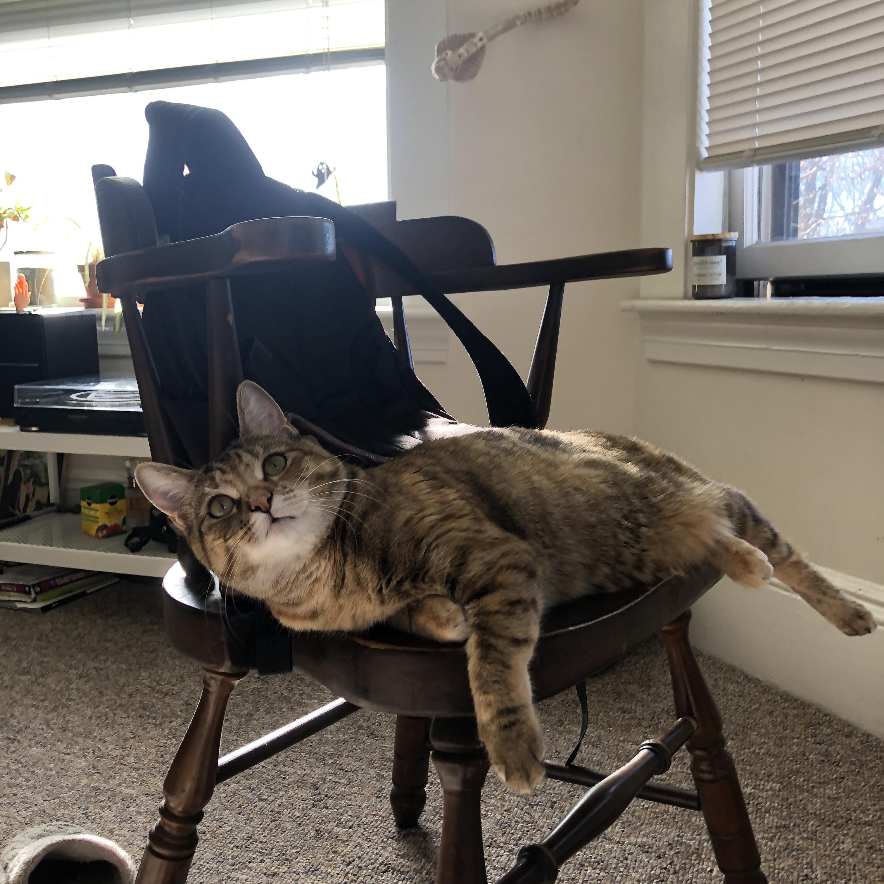 未来展望：赛事发展趋势与挑战，赛事规划流程图