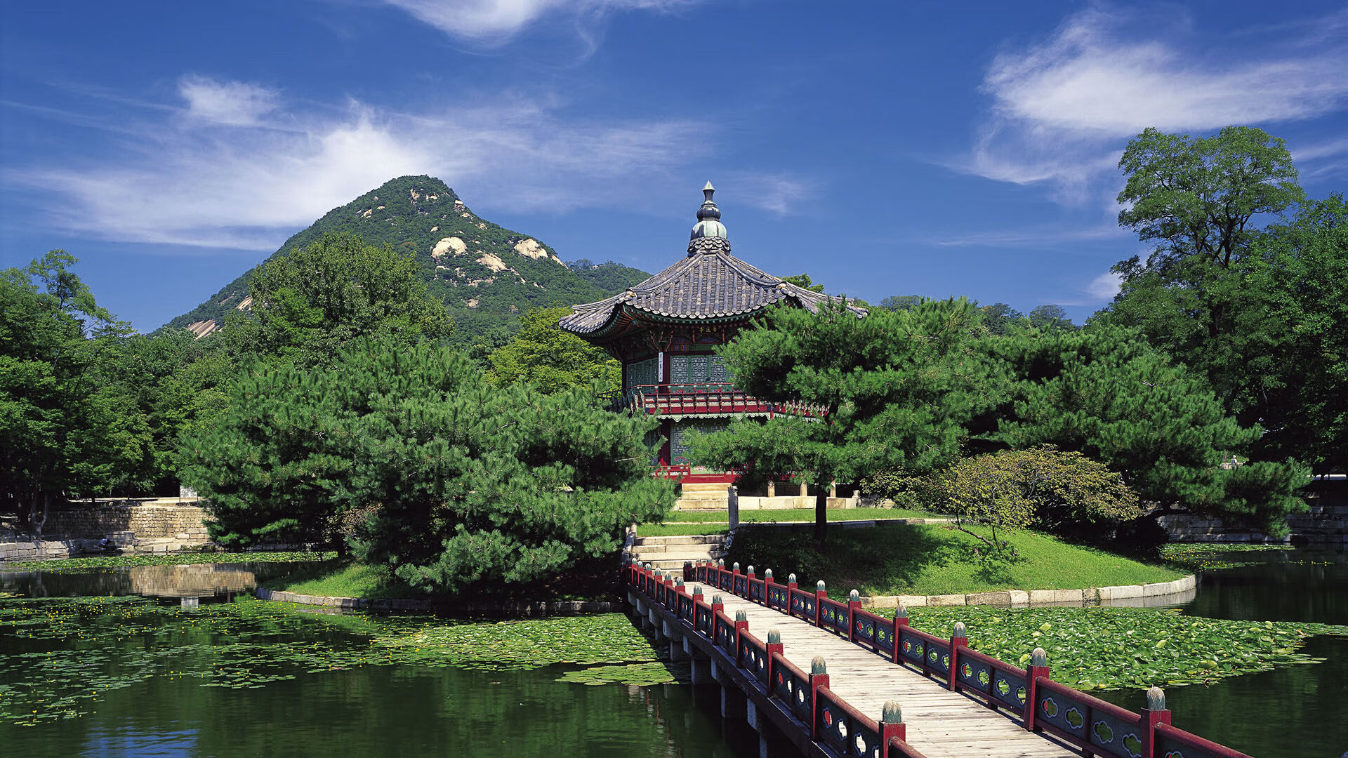 未来希望：全国青少年篮球“冠军特训营”全国巡讲启幕，未来篮球俱乐部