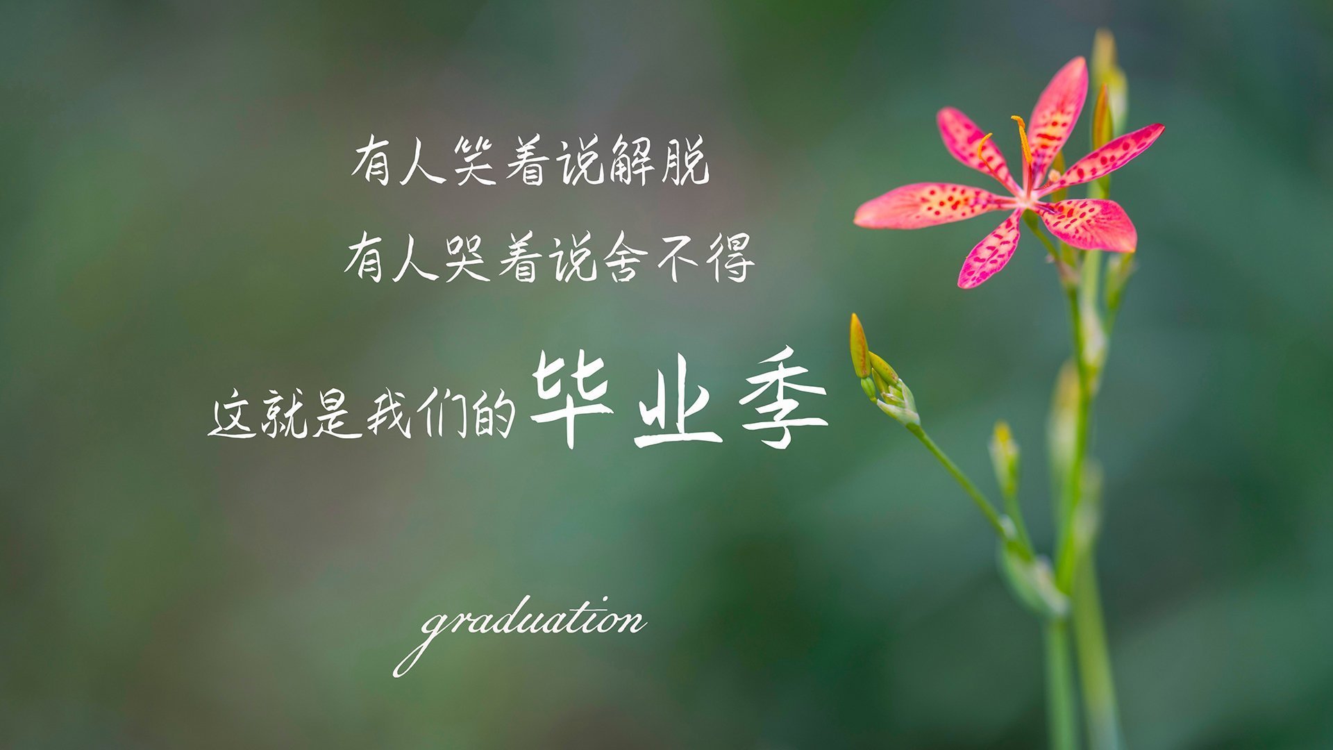 泰国马术协会出版“Lamb”历史专著,记录赛事发展历程。,泰国马场在哪里