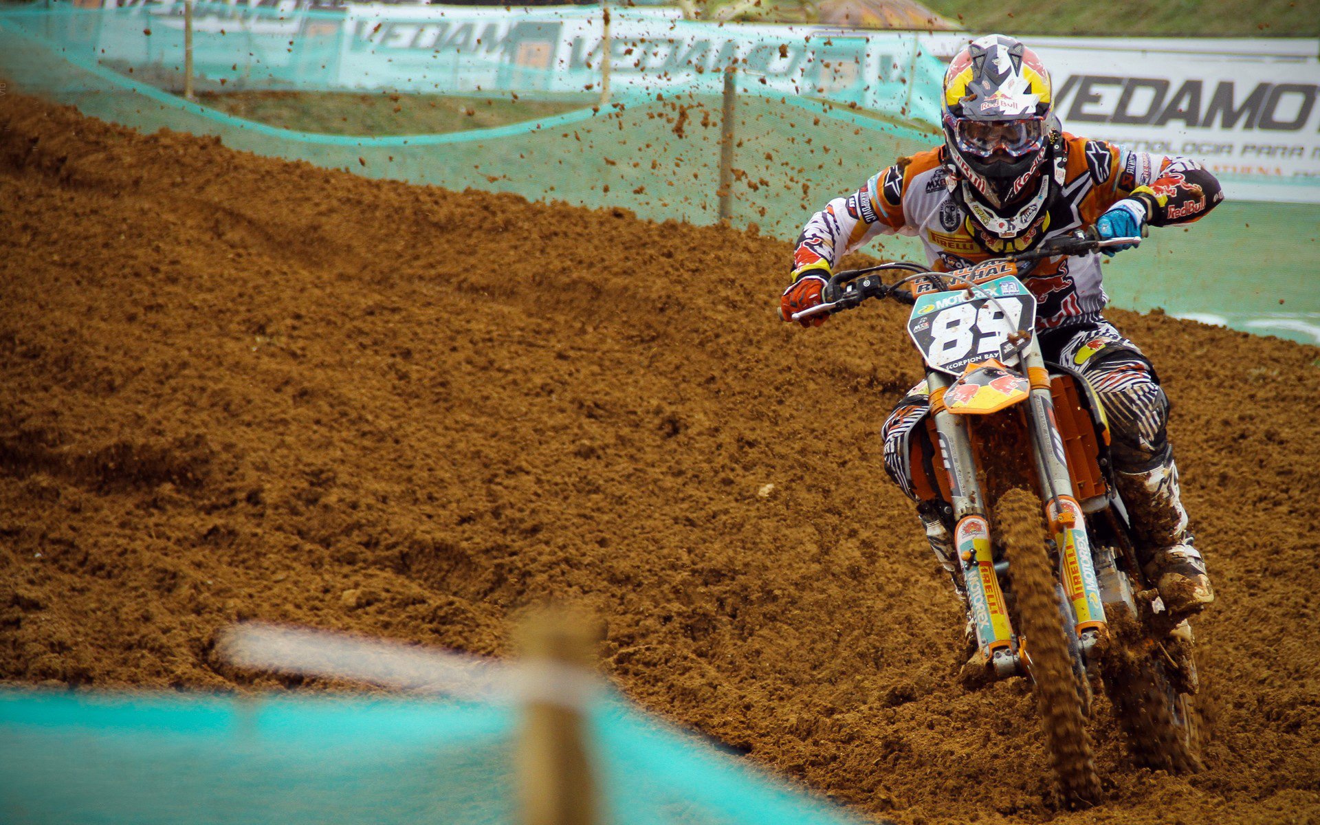 泰国马术协会开展马匹福利宣传活动,提升公众意识。,泰国马师