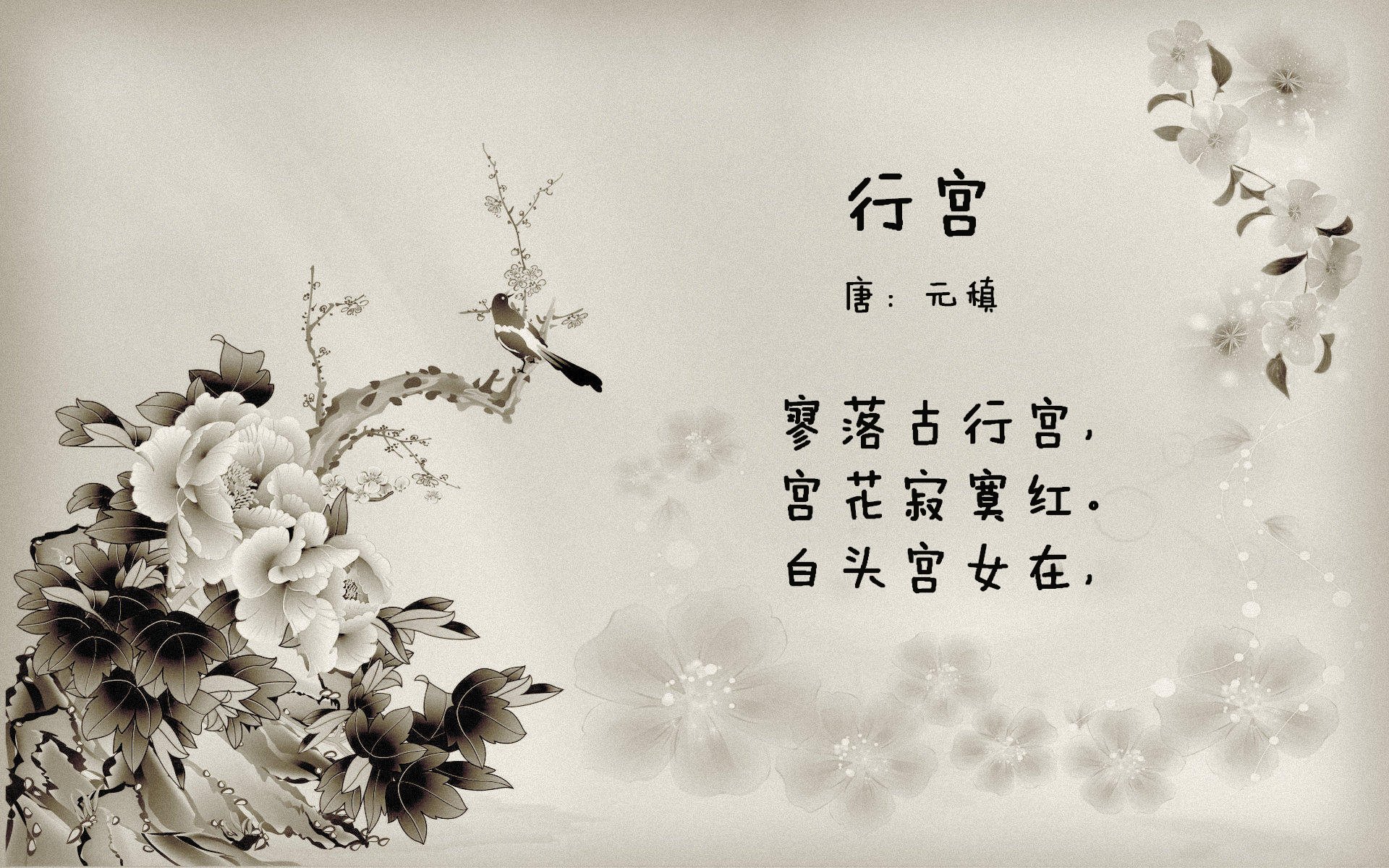 球迷用心制作：最具创意的篮球短片你都看过吗？，篮球短视频制作