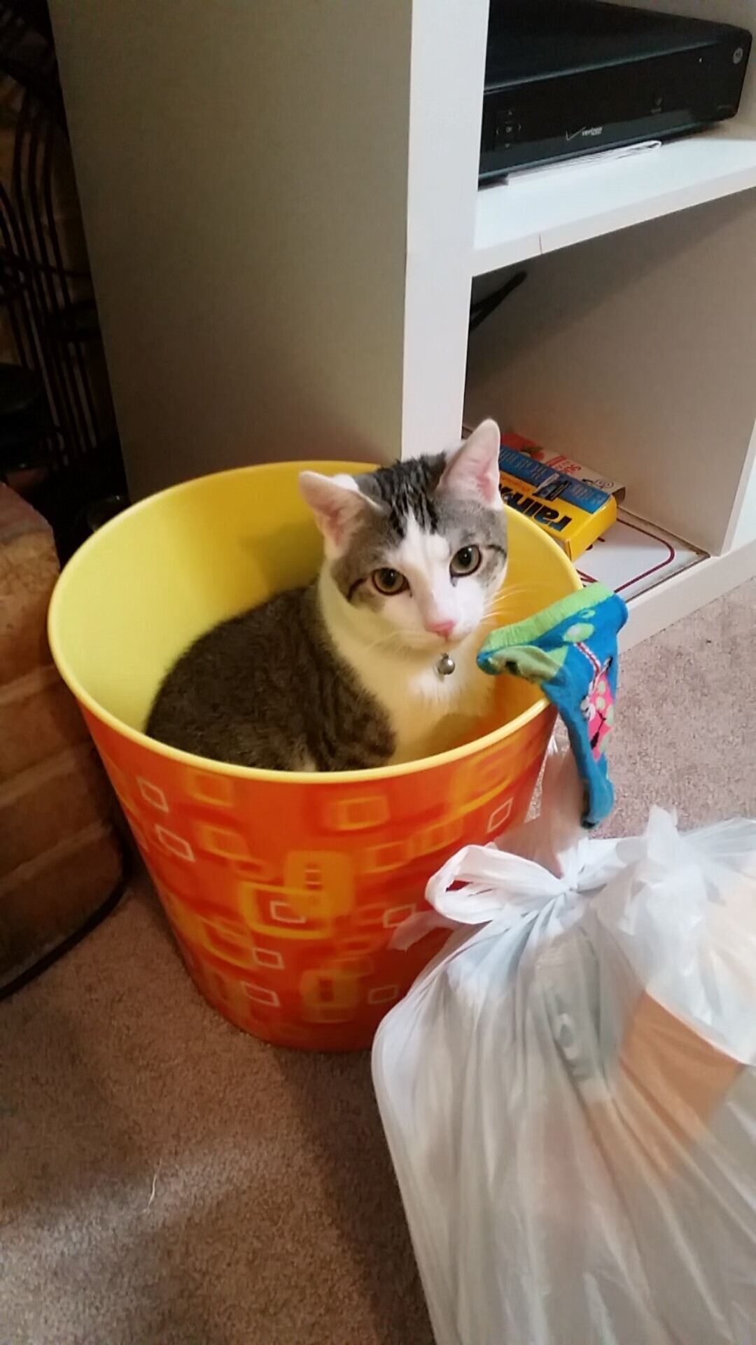 英超裁判使用新技术,提升判罚效率,英超裁判年龄限制