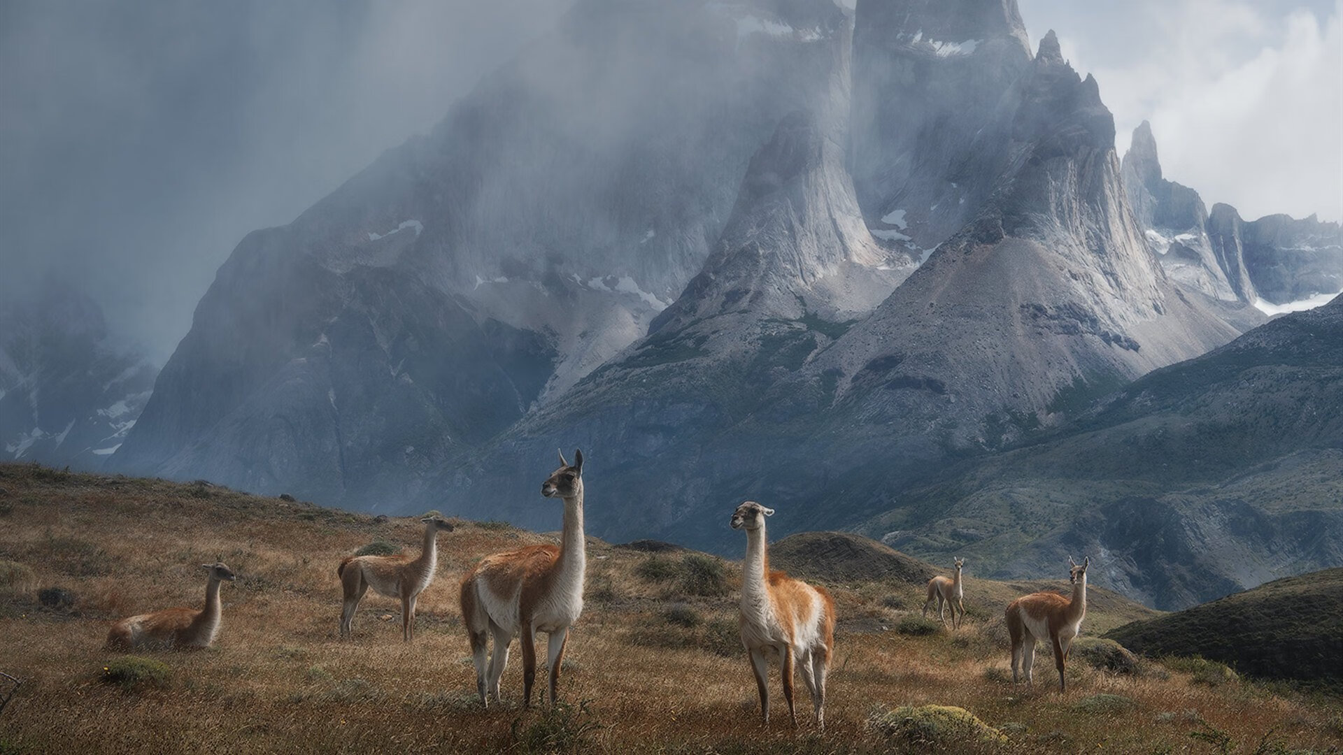 青少年足球运动融入多元文化，助推体育多样性发展，开展青少年足球运动的意义