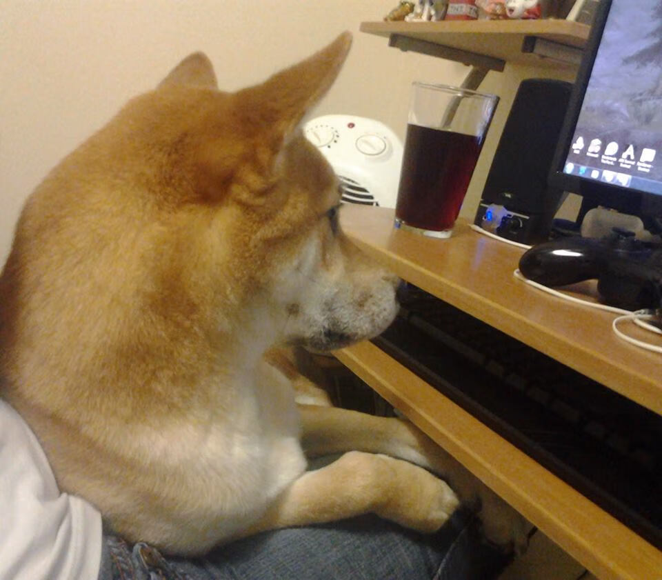 埃夫内普尔在男子公路赛中再次夺金，埃费内普尔