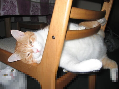 女足世界杯媒体合作伙伴介绍,女足世界杯媒体关注空前,但女性足球记者仍面临障碍