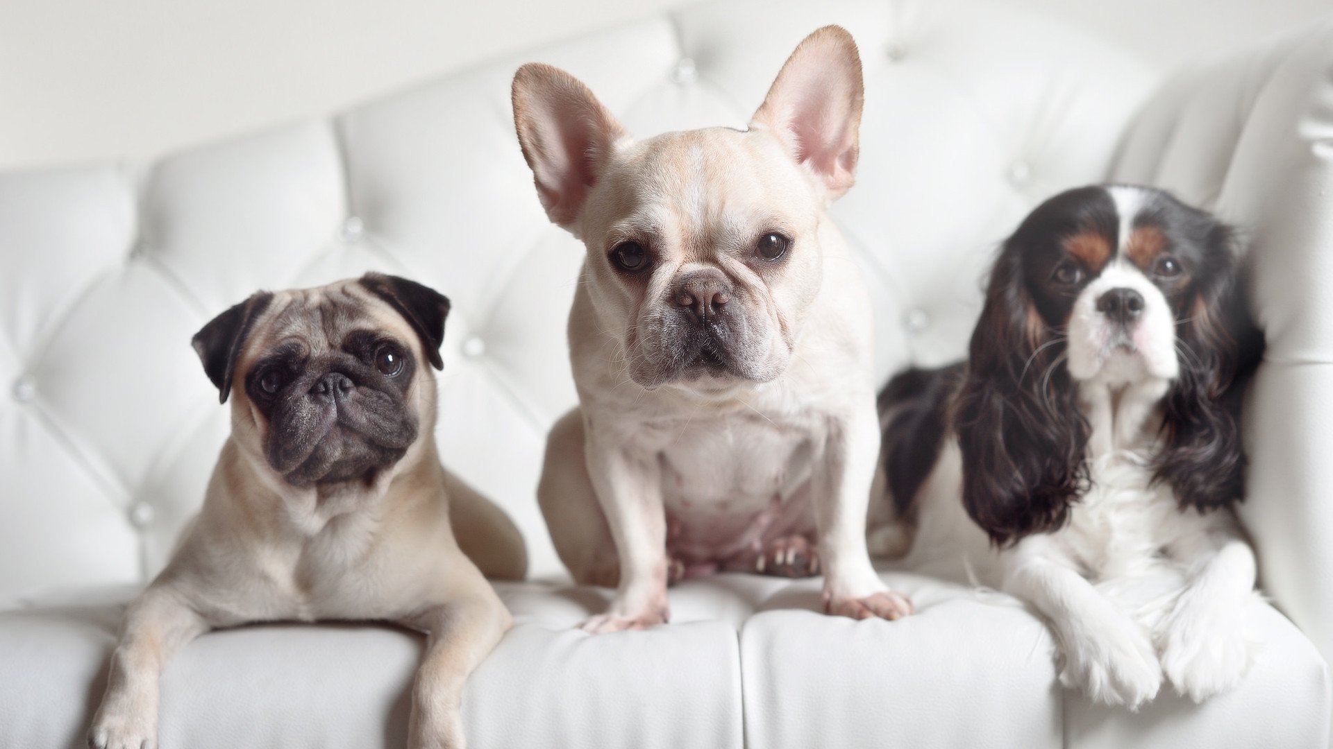 快船击败公牛，常规赛巅峰对决中乔治砍下47分，快船送出乔治