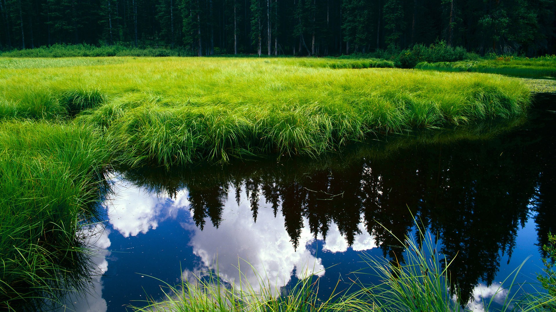 揭秘网球运动员跨赛季恢复计划，网球选手退赛