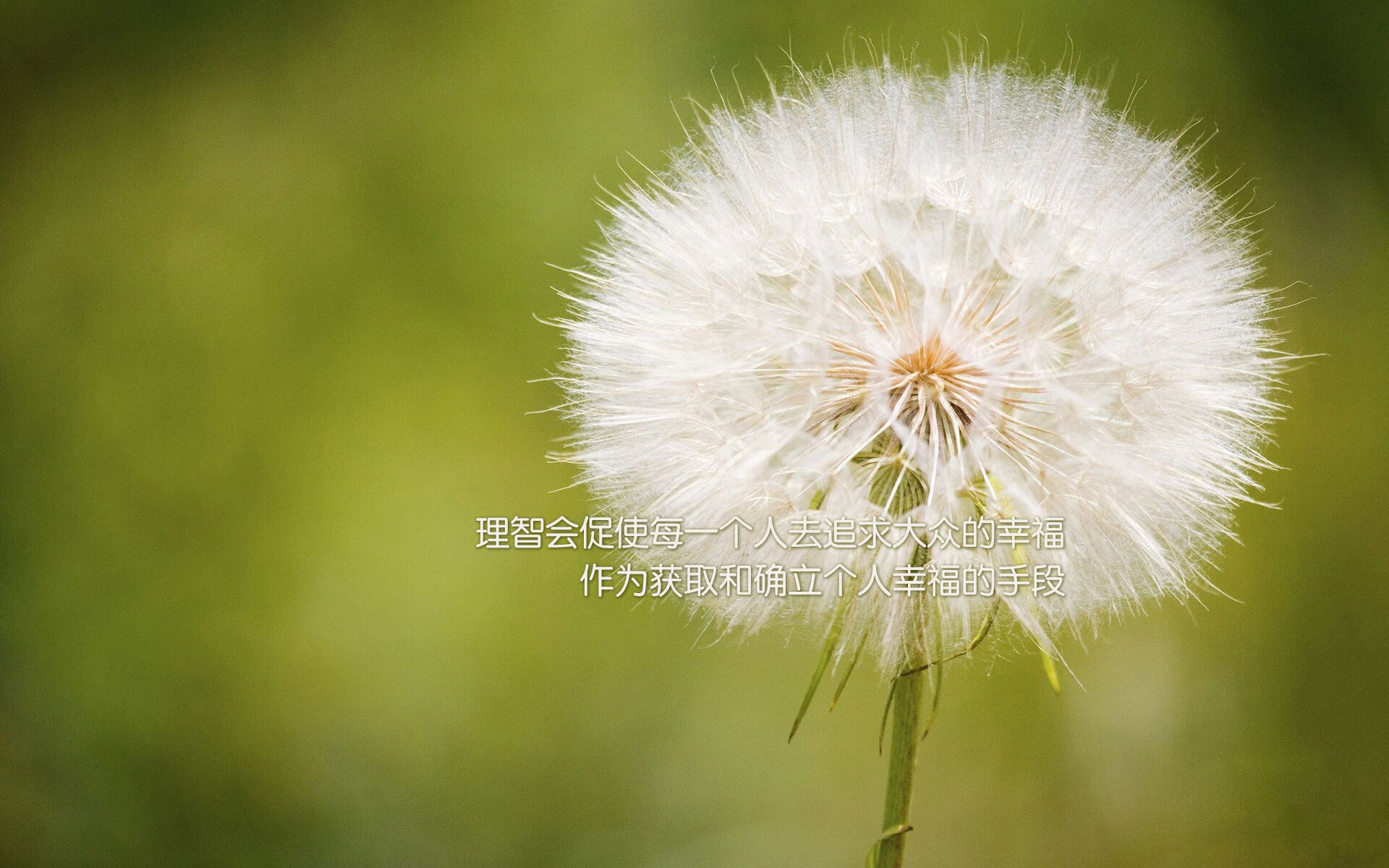 曼联击败多特蒙德：主场取胜势头强劲，曼联多特蒙德历史交易