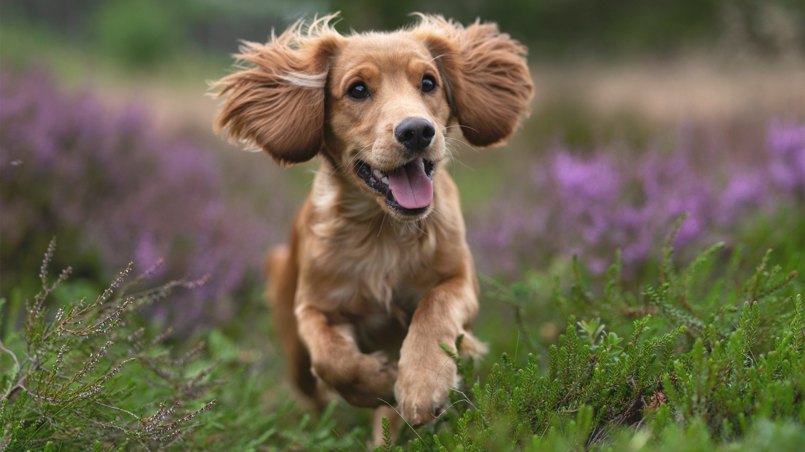 NBA球员心理调节技巧,nba球员怎么解决生理问题