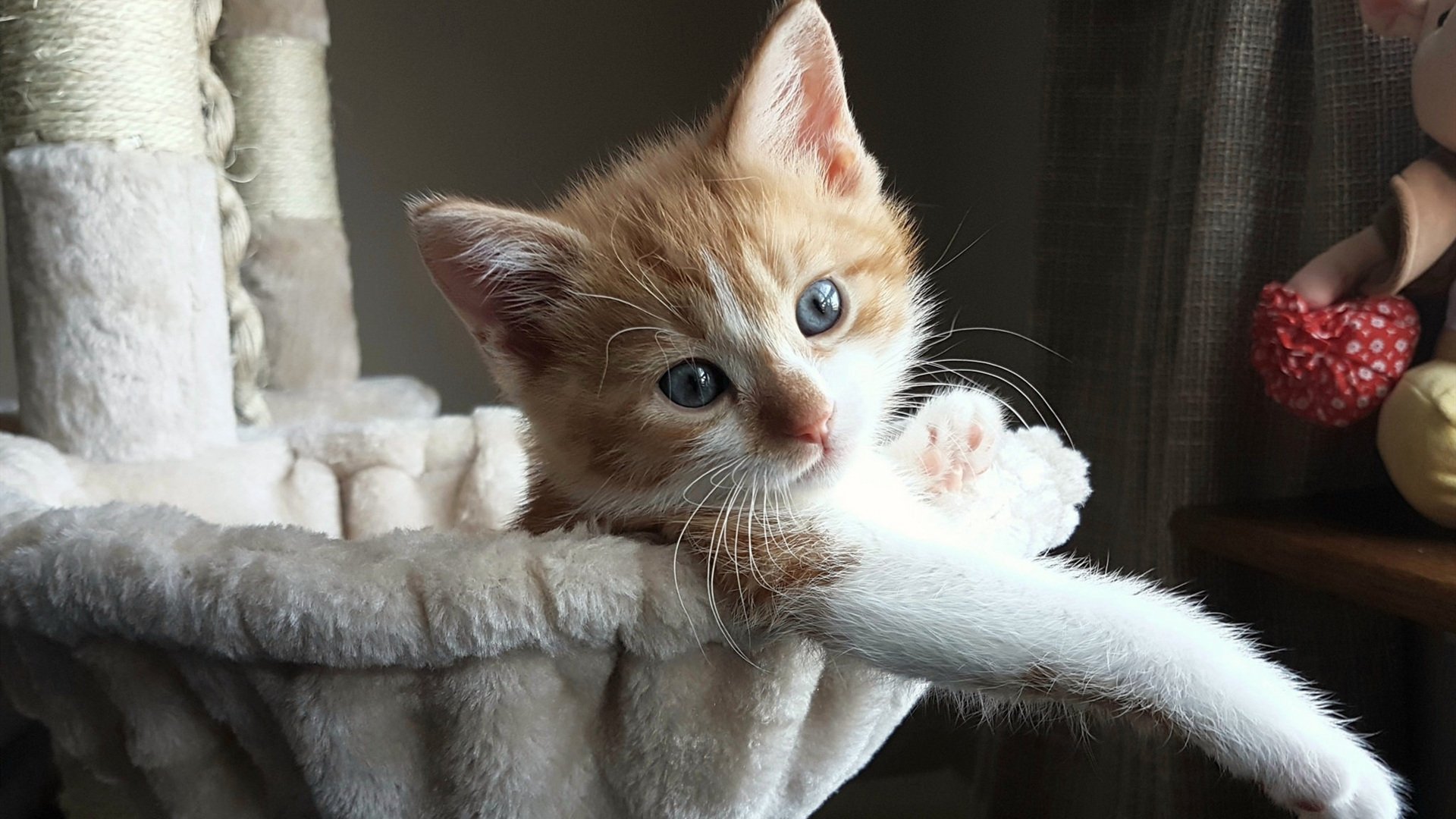 NBA赛季抢断效率排行榜分析，nba本赛季抢断王