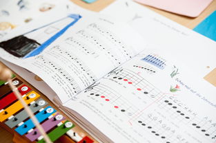 中小学体育课安全教育实施现状研究，体育课堂安全背景下的小学体育课现状