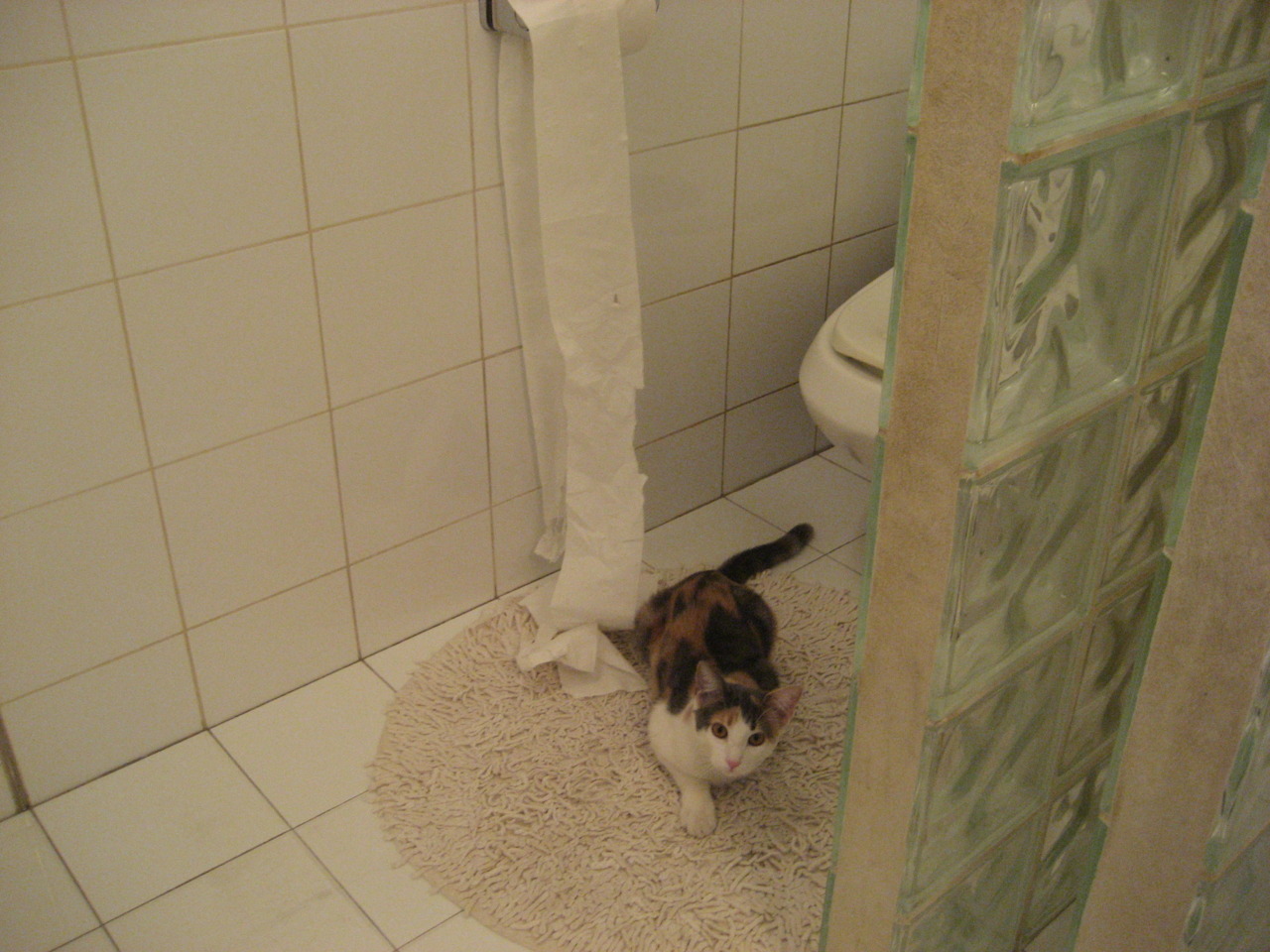 未来裁判:使用AI辅助裁判的试点项目,未来裁判_使用ai辅助裁判的试点项目是什么