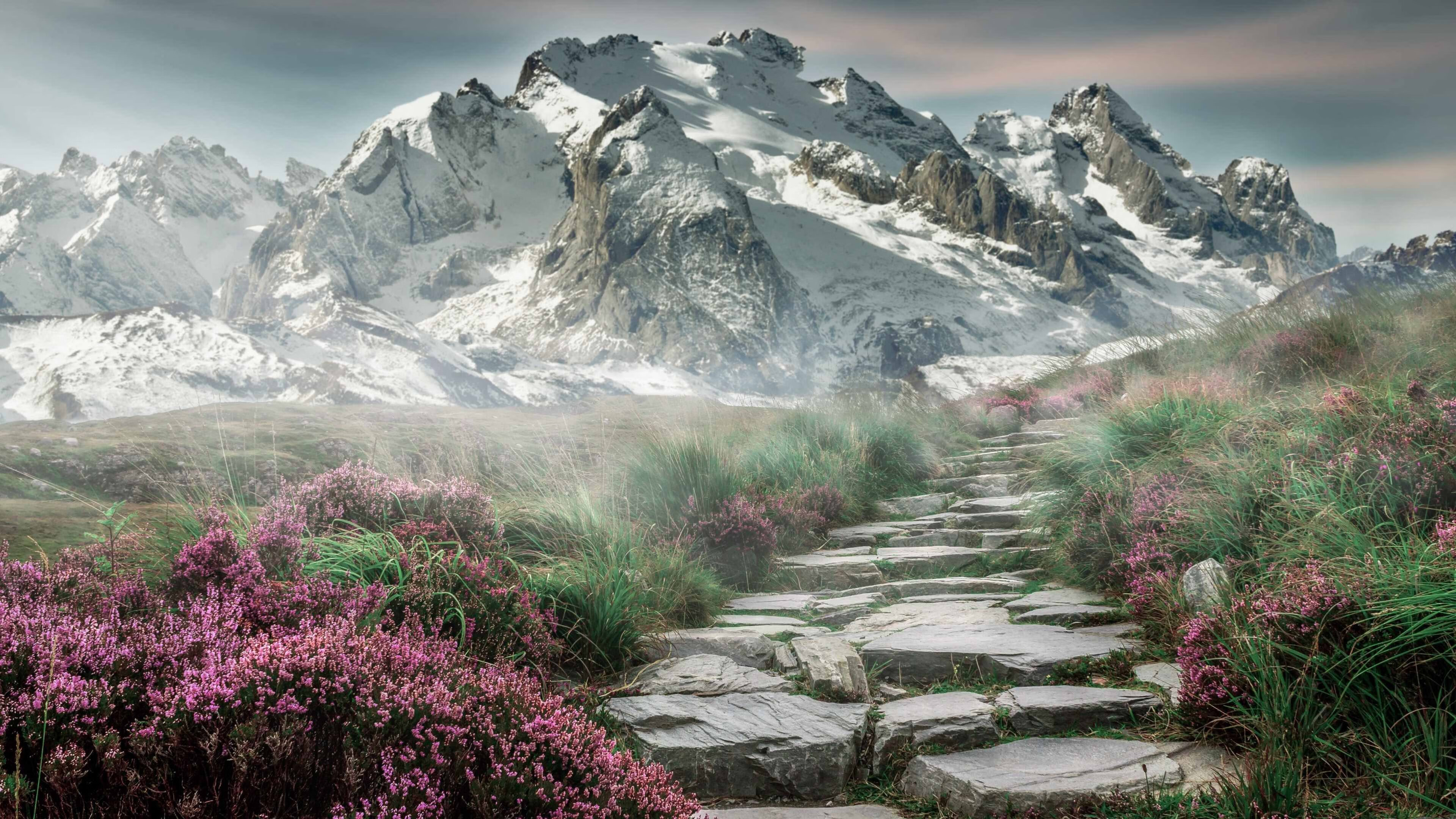 南非羚羊队：配合默契的团队作战，让每个进攻都具有致命威胁，非洲小羚羊