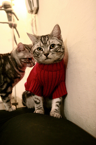 尤文图斯引进重要中场，大幅提升实力